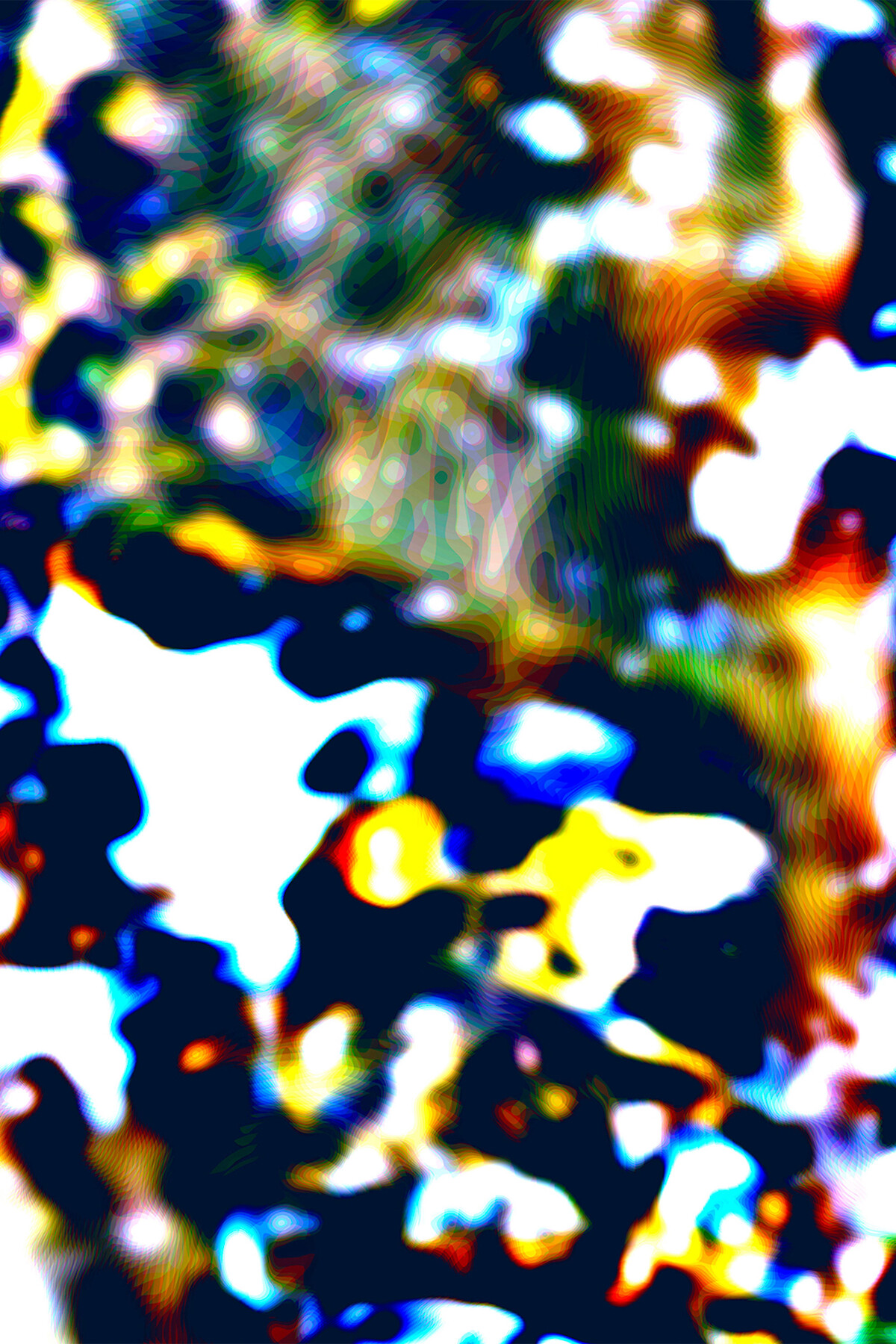  (Wolfgang Gillitzer &copy;&nbsp;Marius Schreyer Design)