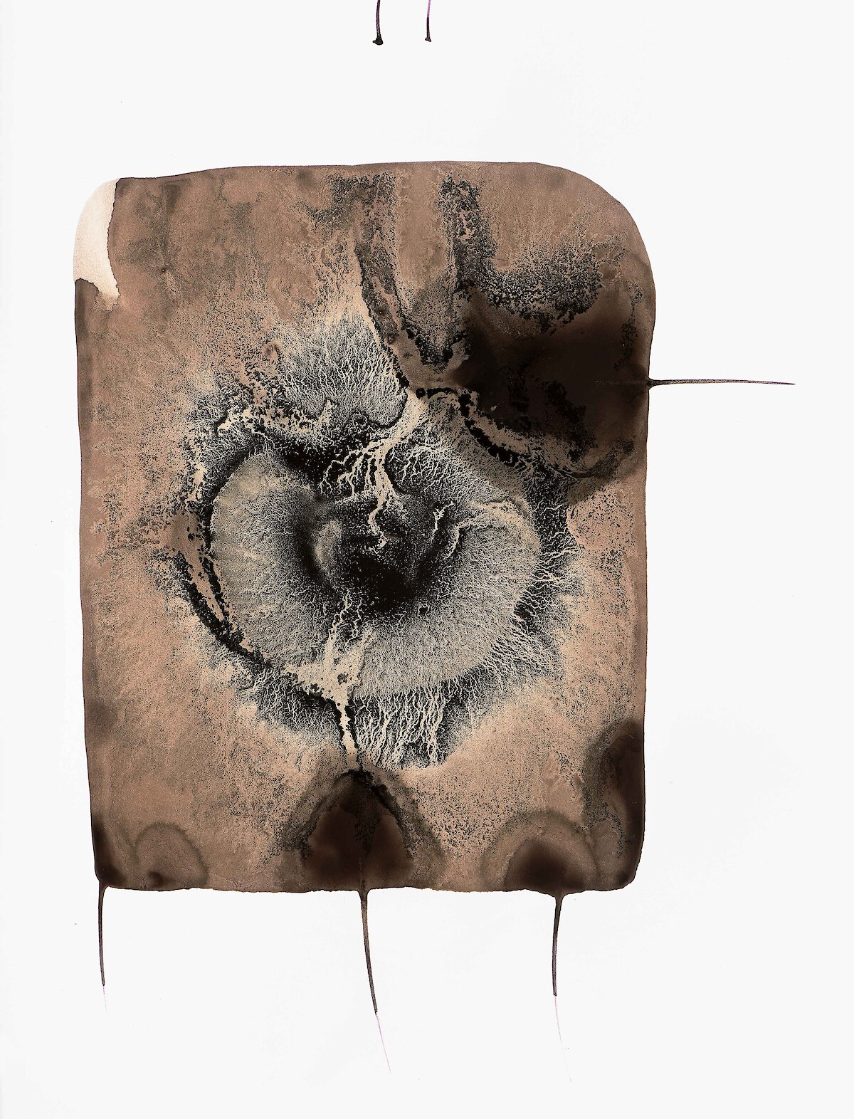 (Gerd Grimm © Marius Schreyer Design)  (Gerd Grimm © Marius Schreyer Design)