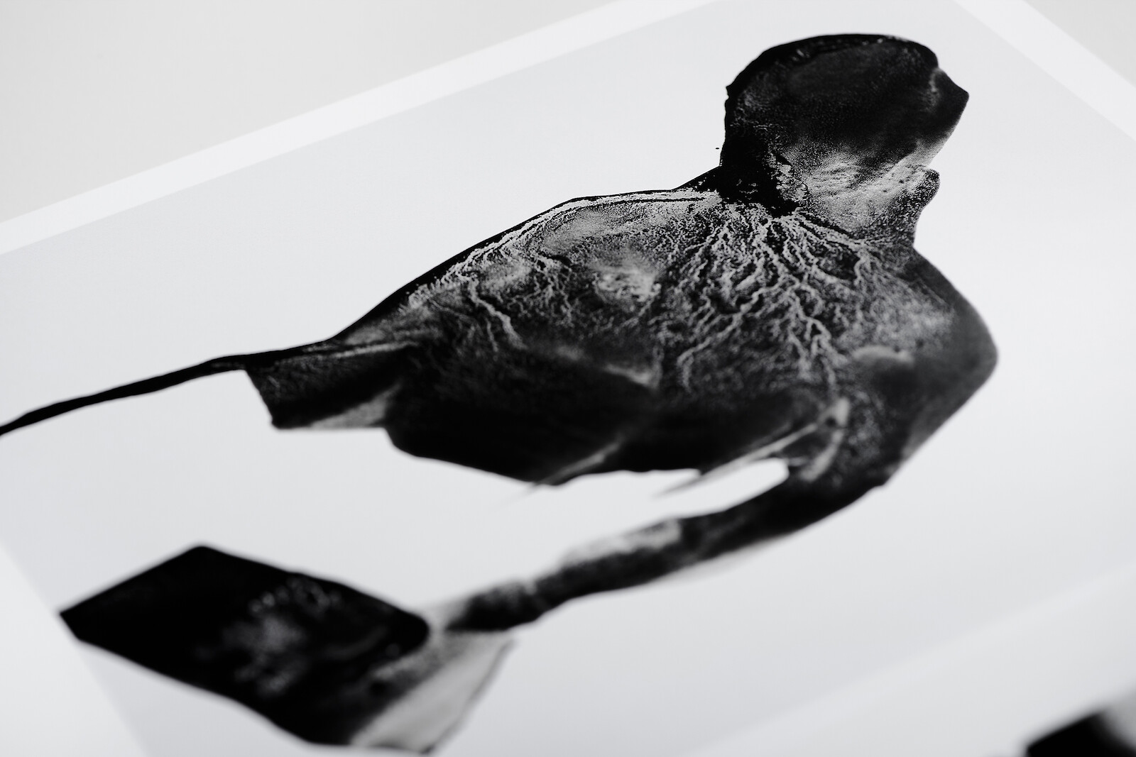 (Gerd Grimm © Marius Schreyer Design)  (Gerd Grimm © Marius Schreyer Design)