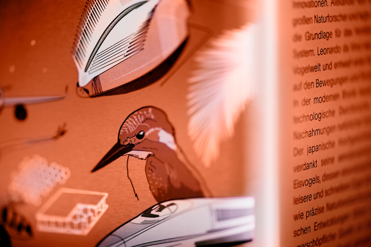 S+ED9_04 (Gerd Grimm &copy;&nbsp;Marius Schreyer Design)